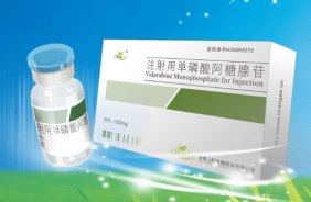 注射用单磷酸阿糖腺苷