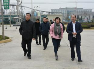 省局领导来我公司进行质量体系考核