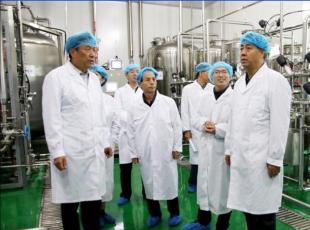 天水市政协副主席逯克宗、麦积区政协主席杨续祥等一行领导我公司考察调研