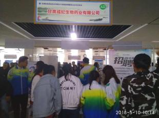 加强人才梯队建设，共创美好明天