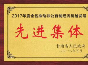 我公司荣获2017年度全省推动非公有制经济跨越发展“先进集体”荣誉称号