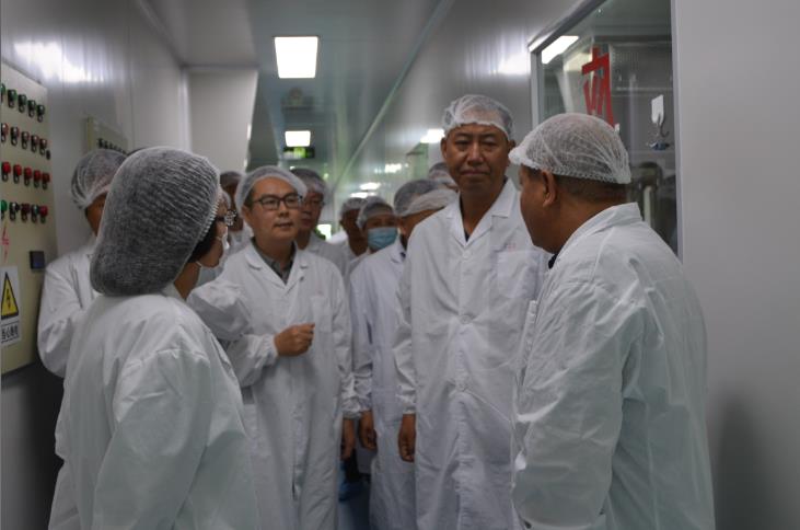 新澳门全年免费原料网