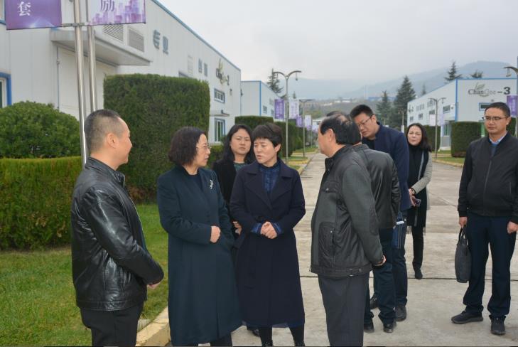 新澳门全年免费原料网