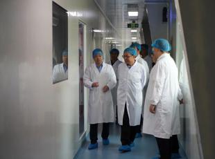 甘肃省税务局一级巡视员师学礼、天水市税务局局长杨新等一行领导莅临公司检查指导工作