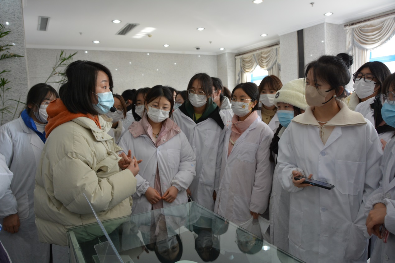 新澳门全年免费原料网